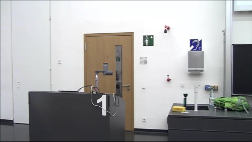 Buchsbaum Chemie Frankfurt